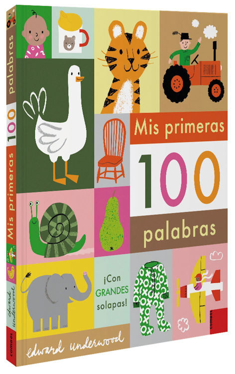 Imagen de Mis primeras 100 palabras