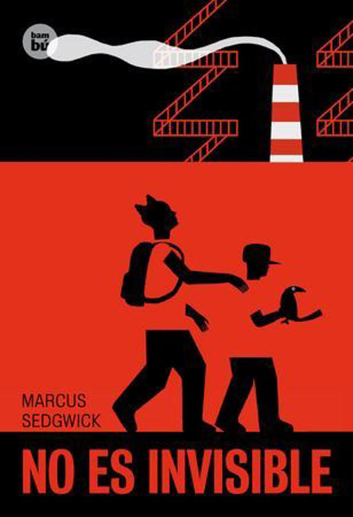 Imagen de No es invisible