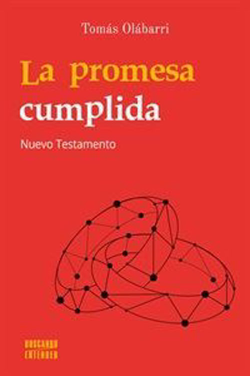 Imagen de La promesa cumplida / Tomás Olábarri Azagra