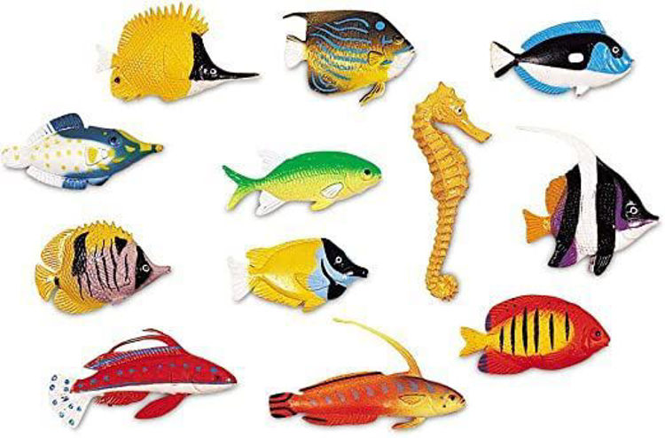 Imagen de PECES (SET DE 60)
