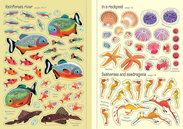 Imagen de Aquarium. Little first sticker