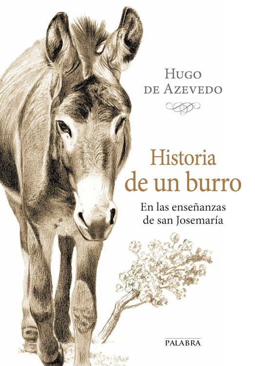 Imagen de Historia de un burro