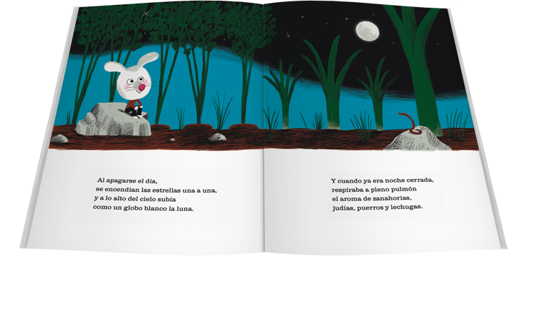 Imagen de El cuento de la noche