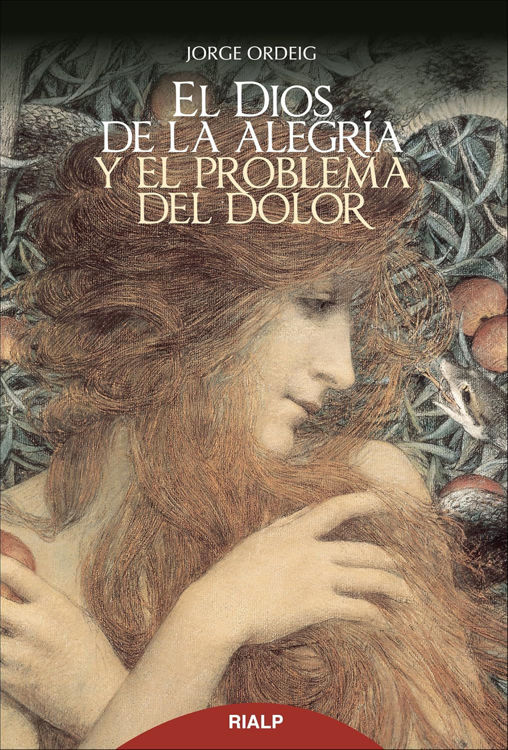 Imagen de El Dios de la alegría y el problema del dolor