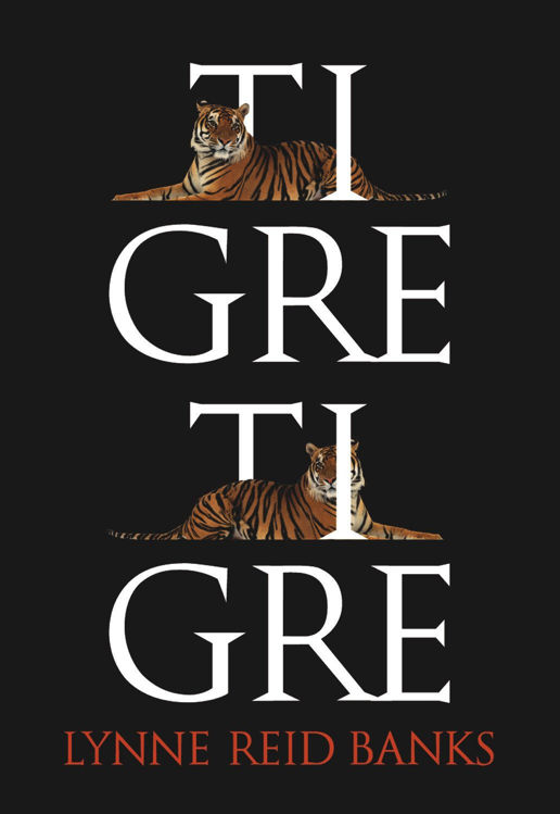 Imagen de Tigre, tigre (Catalán)