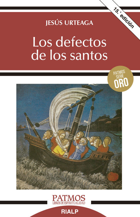 Imagen de Los defectos de los santos