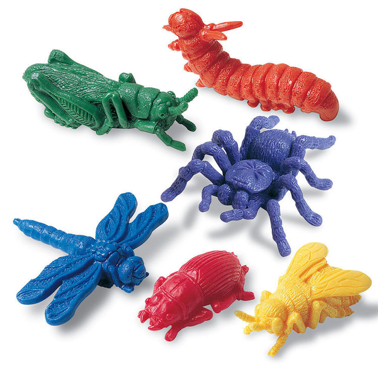 Imagen de Insectos - Contadores