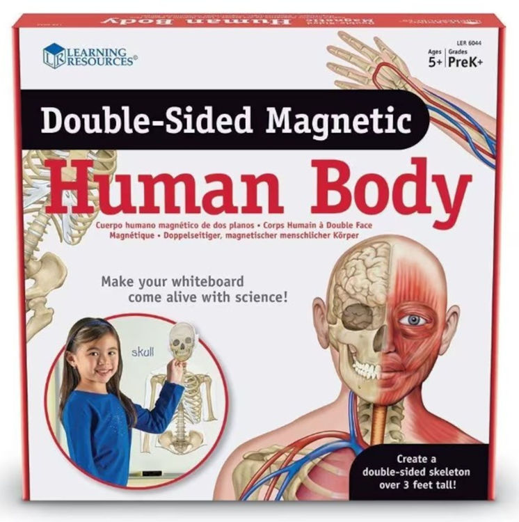 Imagen de Cuerpo humano imantado
