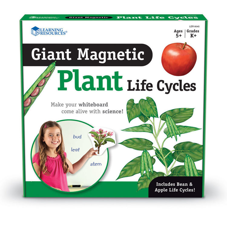 Imagen de Ciclo de vida imantado - Plantas