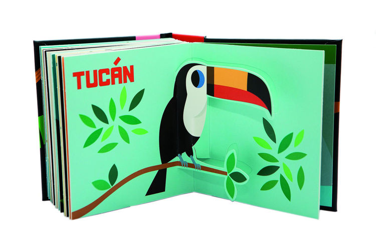 Imagen de ¡En la selva! Pop-up