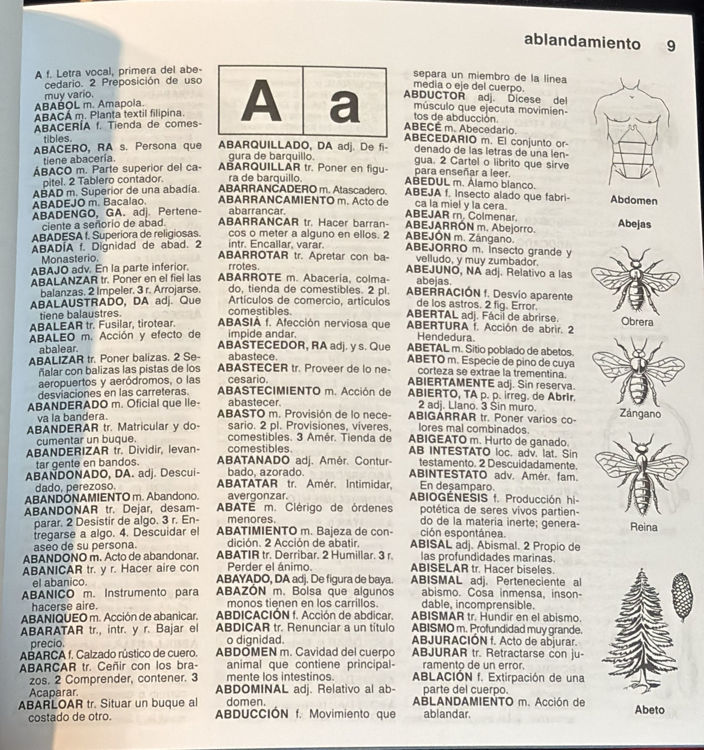 Imagen de Diccionario ilustrado español