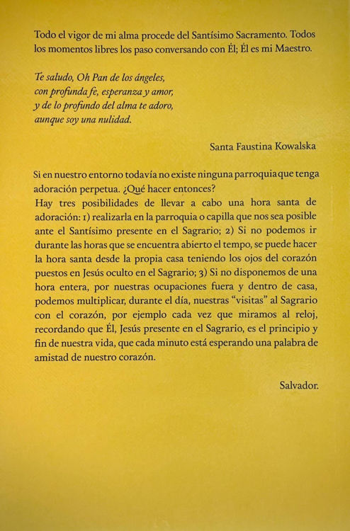 Imagen de Cartas a un hermano sacerdote