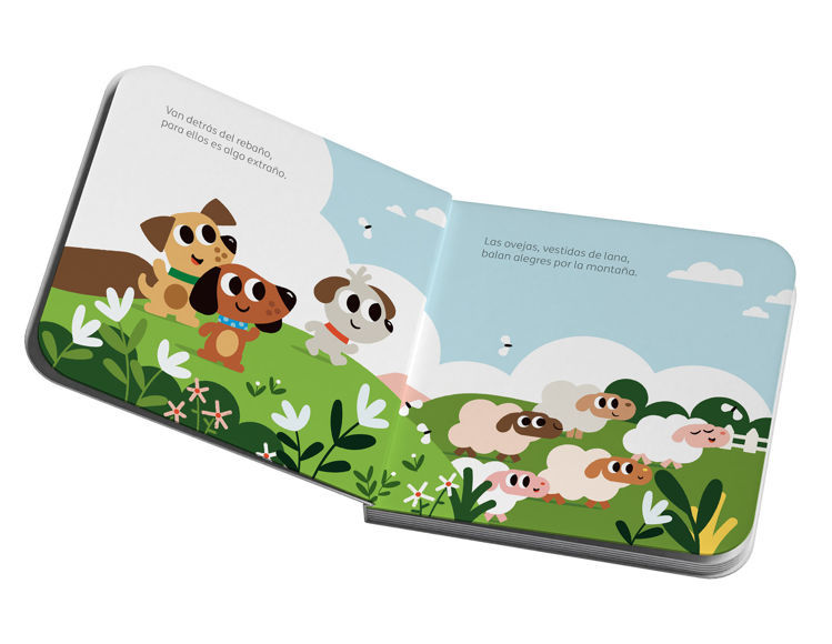 Imagen de ¿Dónde están las ovejas?