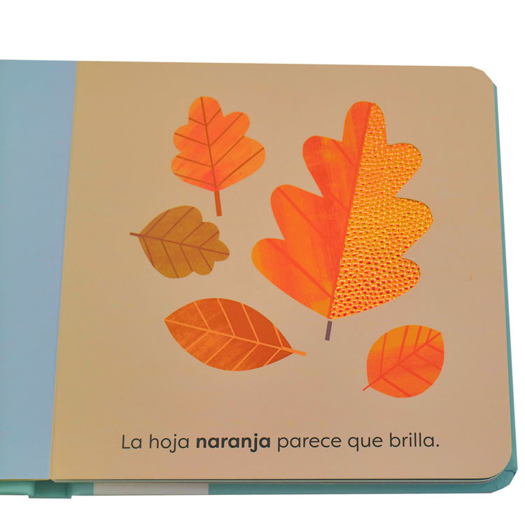 Imagen de Naturaleza. MiniToc