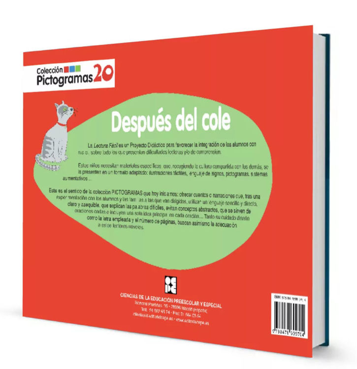 Imagen de Pictogramas: Después del cole