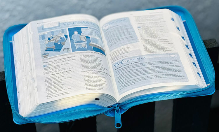 Imagen de La Biblia Católica para jóvenes (Estuche)