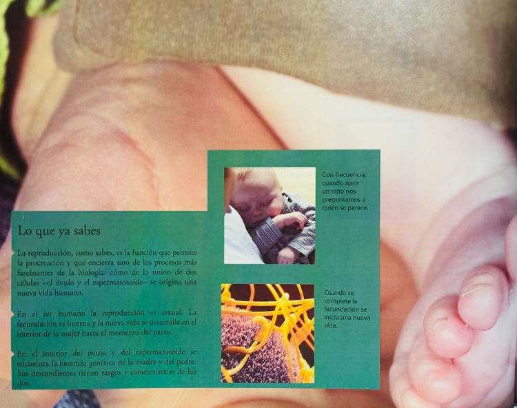 Imagen de Educación Sexual Integral para la adolescencia (Alumnos)