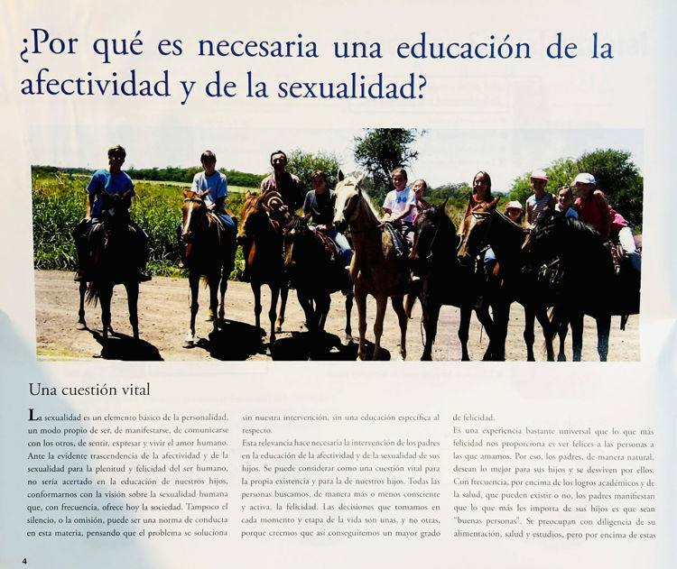 Imagen de Educación Sexual Integral para la adolescencia (Padres y docentes)