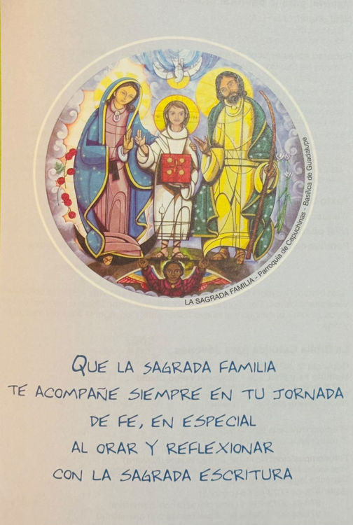 Imagen de La Biblia Católica para jóvenes (edición revisada)