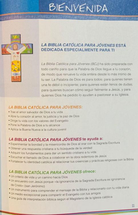 Imagen de La Biblia Católica para jóvenes (edición revisada)