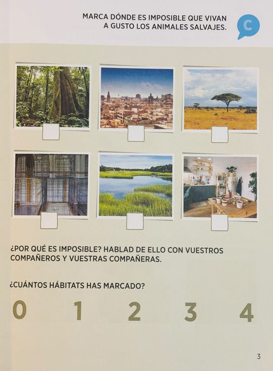 Imagen de Conexiones matemáticas 2. Capicúa 4 años