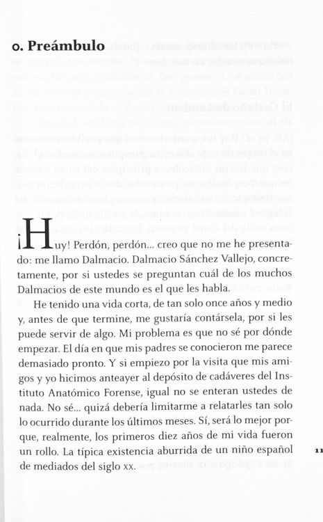 Imagen de Nunca más - Fernando Lalana