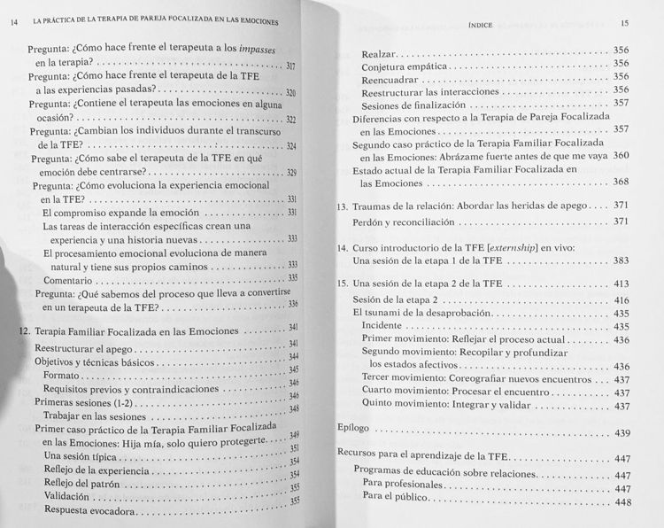 Imagen de La práctica de la terapia de pareja focalizada en las emociones