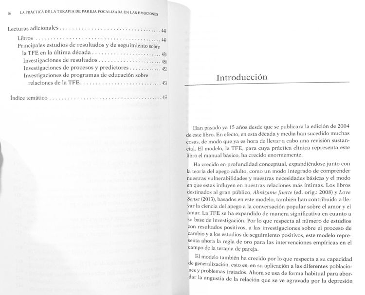 Imagen de La práctica de la terapia de pareja focalizada en las emociones